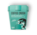 Coffee Crush - Siwon